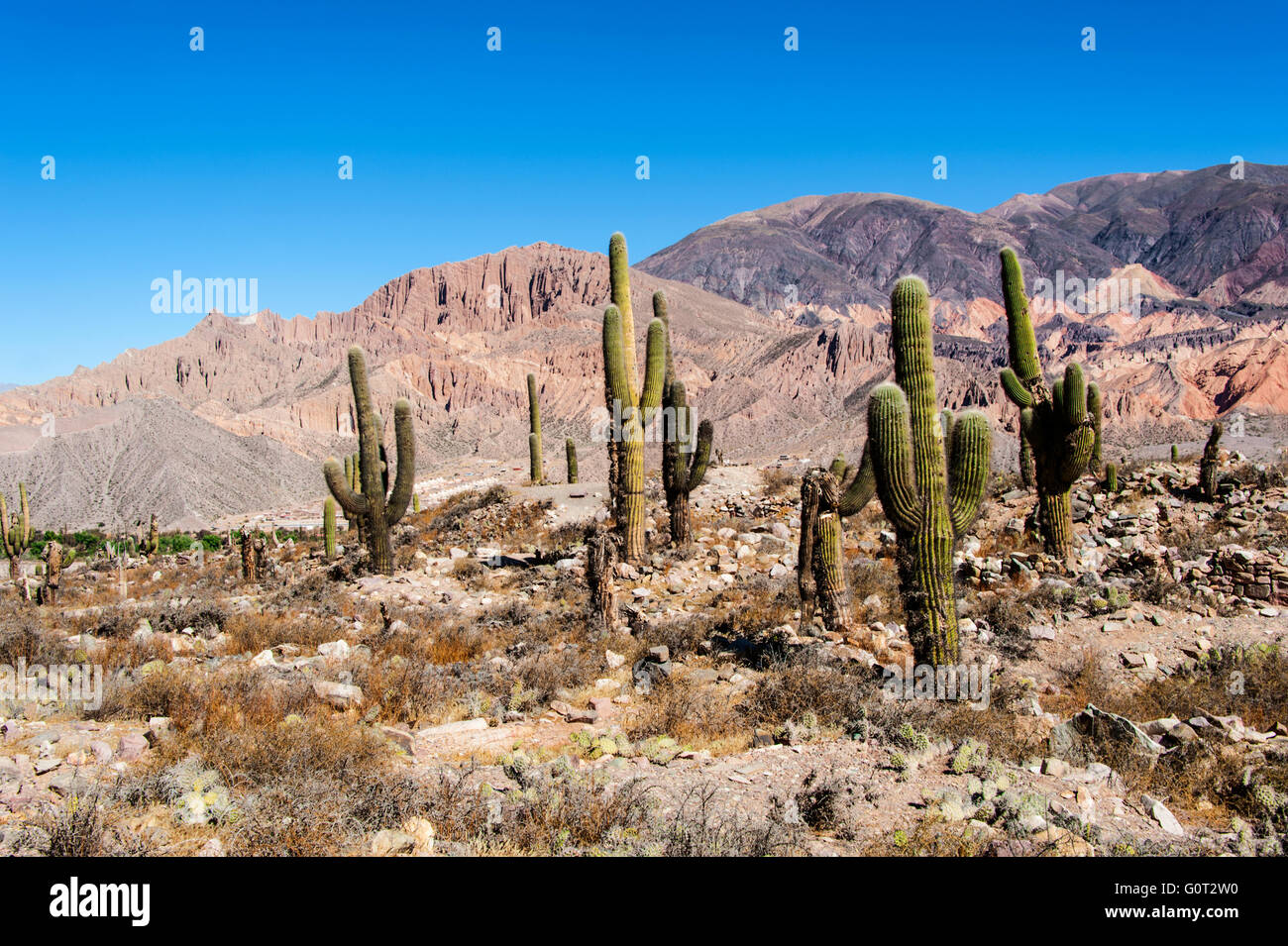 Farbenfrohe Tal der Quebrada de Humahuaca, zentralen Anden Altiplano, Argentinien Stockfoto