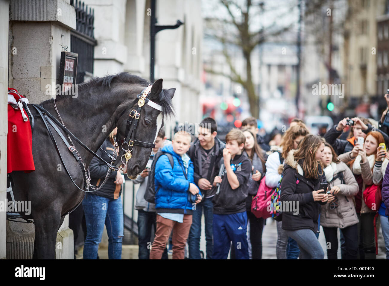 Whitehall befindet sich am Eingang zum Horse Guards Avenue, Whitehall, London, England Tourist beobachten und Fotos, die einen wachen hors Stockfoto