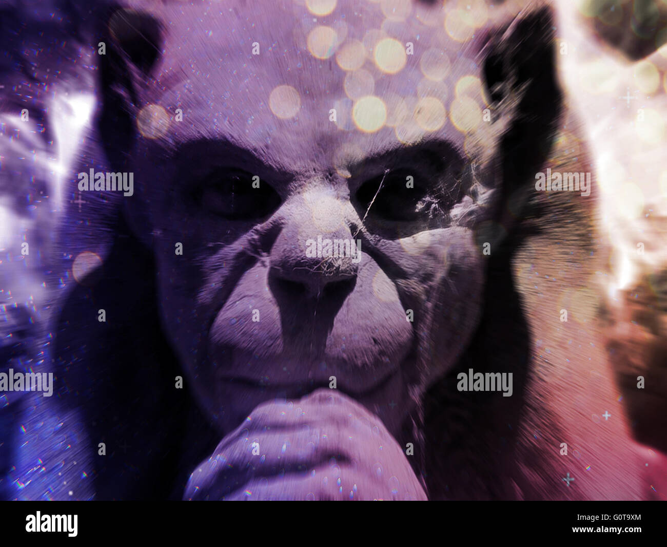 Bunte abstrakte Effekte angewendet, Steinfigur gargoyle Stockfoto