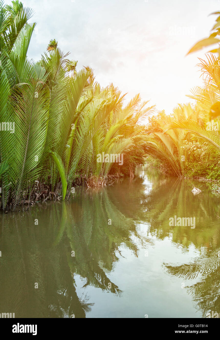 Beliebtes Ferienziel am Mekong-Delta in Vietnam Stockfoto