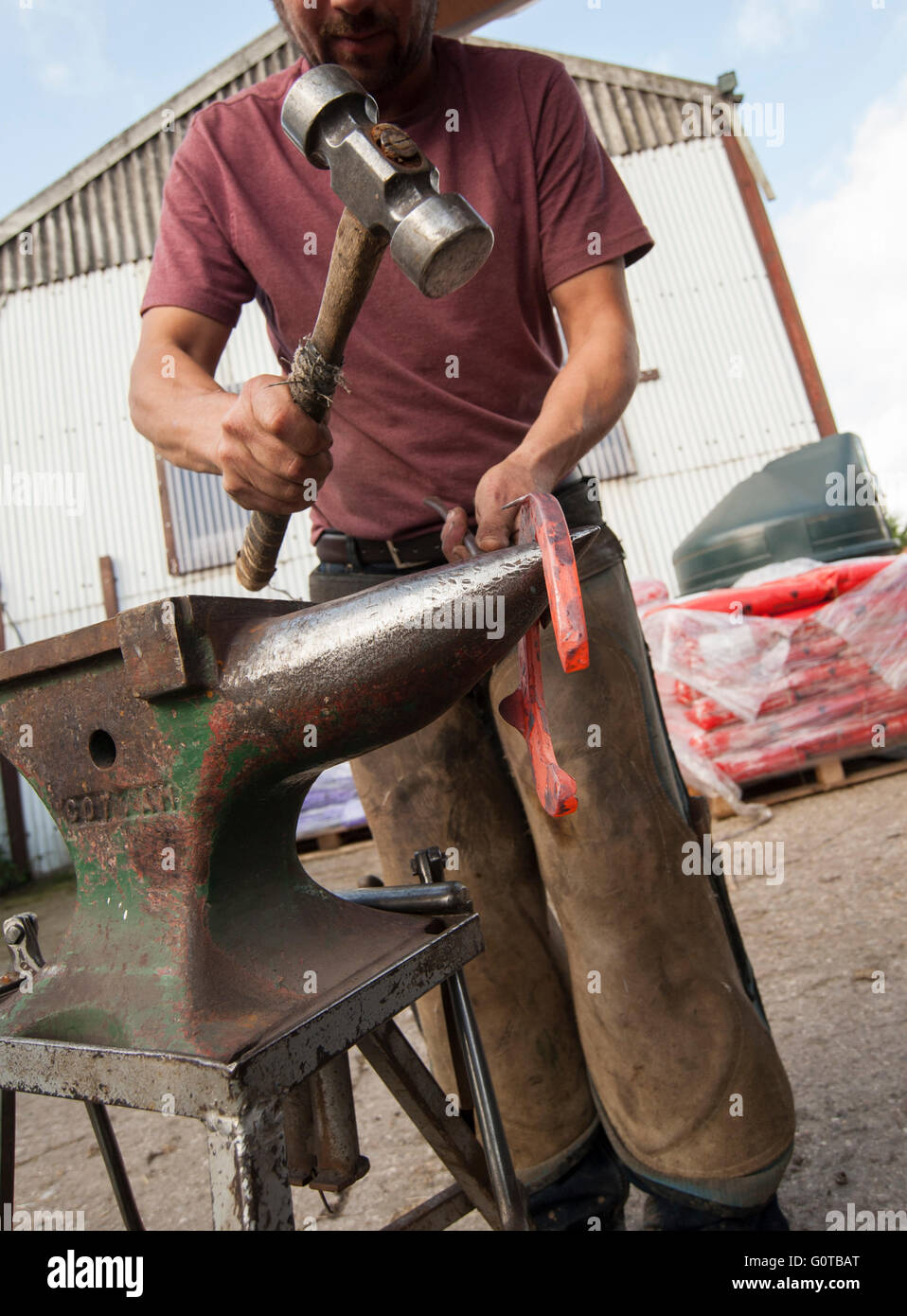 Hufschmied heiß beschlagen eines Pferdes in einem beständigen yard Stockfoto