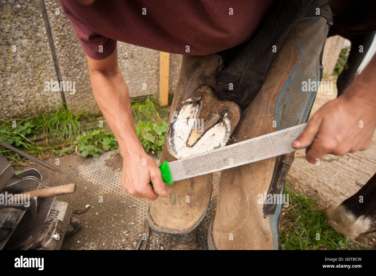 Hufschmied heiß beschlagen eines Pferdes in einem beständigen yard Stockfoto