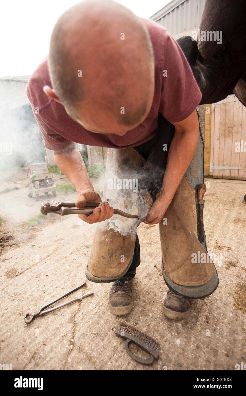 Hufschmied heiß beschlagen eines Pferdes in einem beständigen yard Stockfoto
