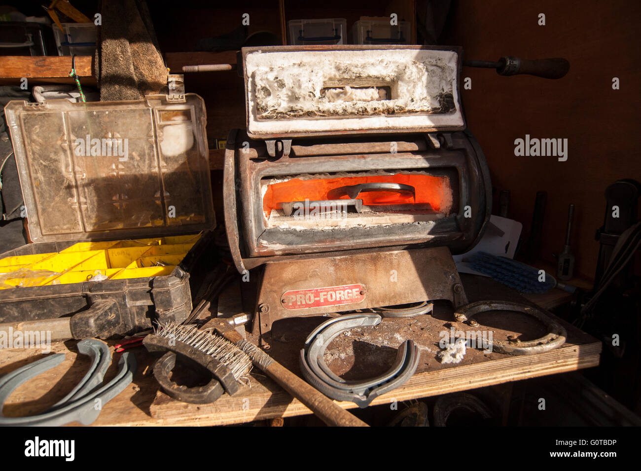 Hufschmied heiß beschlagen eines Pferdes in einem beständigen yard Stockfoto