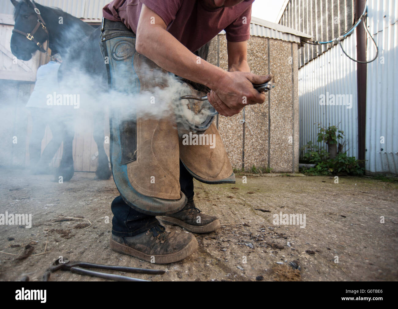 Hufschmied heiß beschlagen eines Pferdes in einem beständigen yard Stockfoto