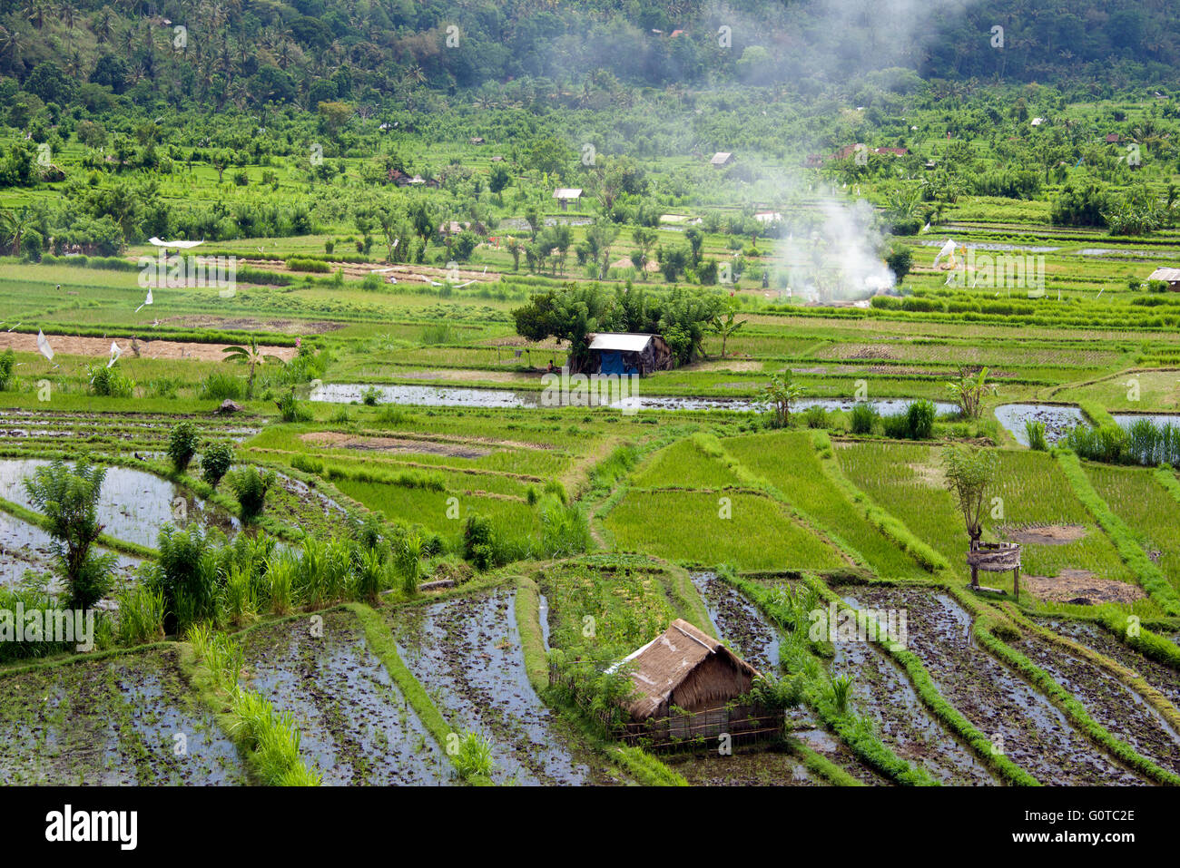 Ländliche Landschaft mit Reisfeldern Abang Bali Indonesien Stockfoto