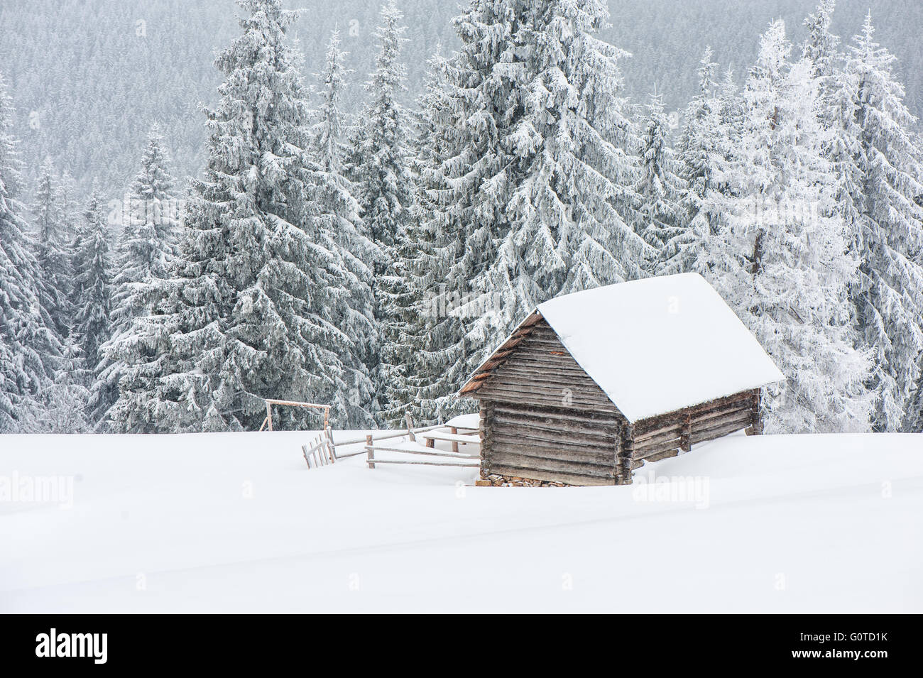 Holzhaus im Winterwald Stockfoto