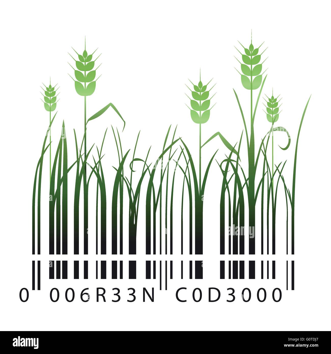 Grüne Barcode mit Gräser und Ähren Stock Vektor