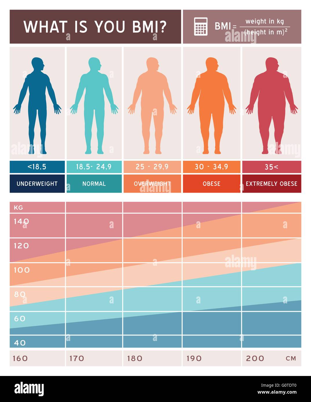 Body-mass-Index Infografiken mit Körperformen, Diagramm und Formel Stock Vektor