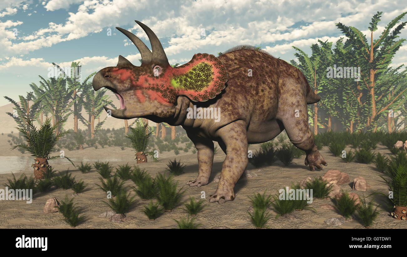 Triceratops Dinosaurier unter Cycadeoidea und Onychiopsis Pflanzen und Pachypteris Bäumen - 3D render Stockfoto
