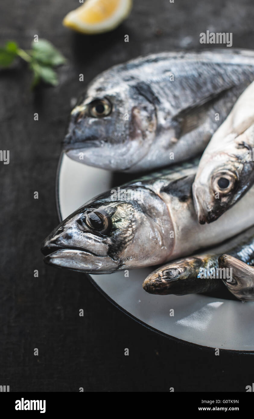 Nahaufnahme des rohen Goldbrasse, Seebarsch, Sardinen und Makrelen Fisch auf Teller Stockfoto