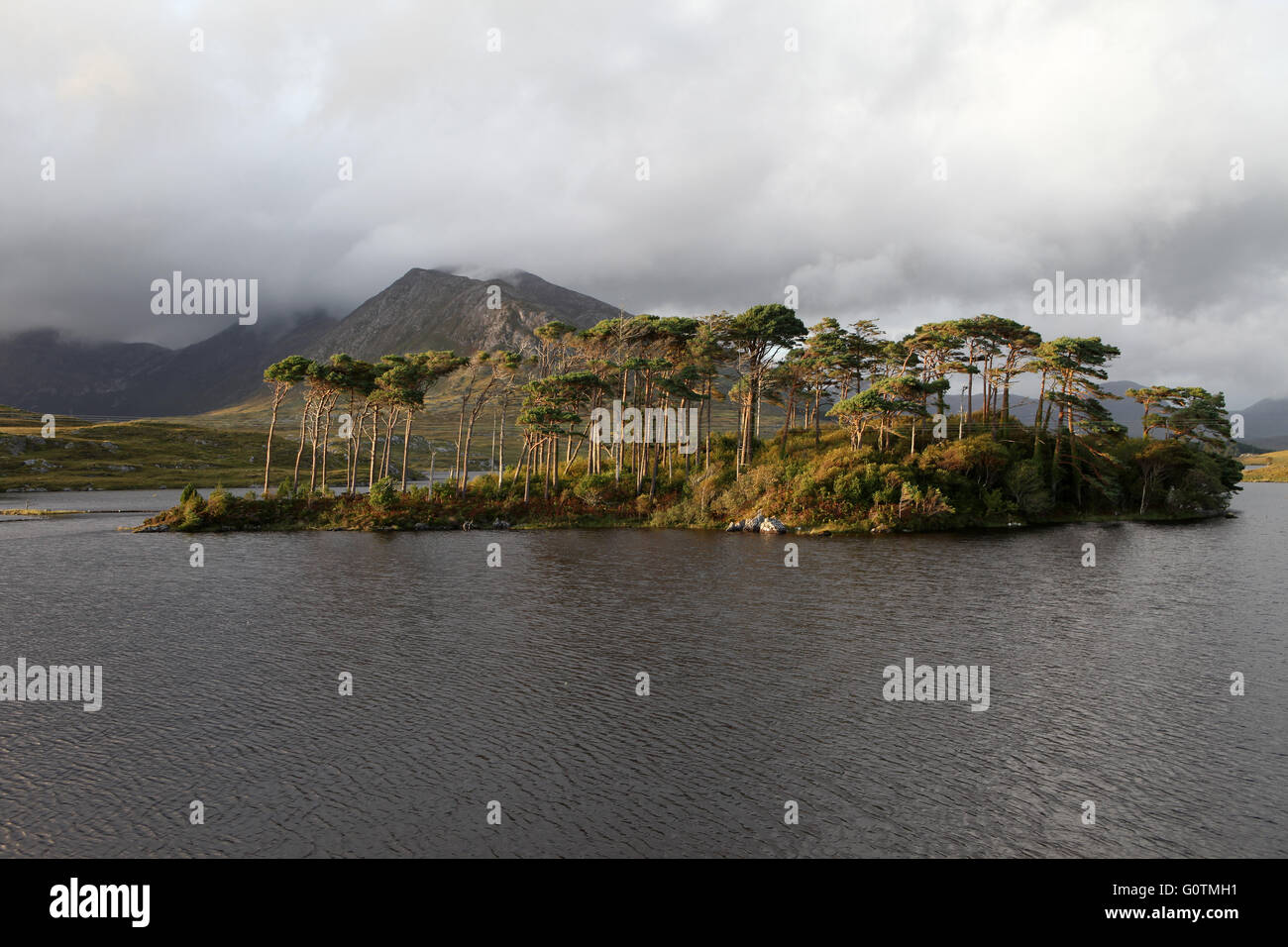 Twelve Bens, Derryclare Lough, Connemara, County Galway, Irland Stockfoto