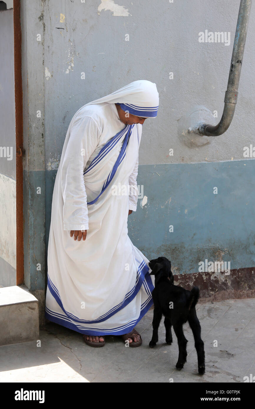 Mutter Teresa Schwester gerupft aus eine schwarze Ziege auf Kleidungsstück, Kalkutta, Indien Stockfoto