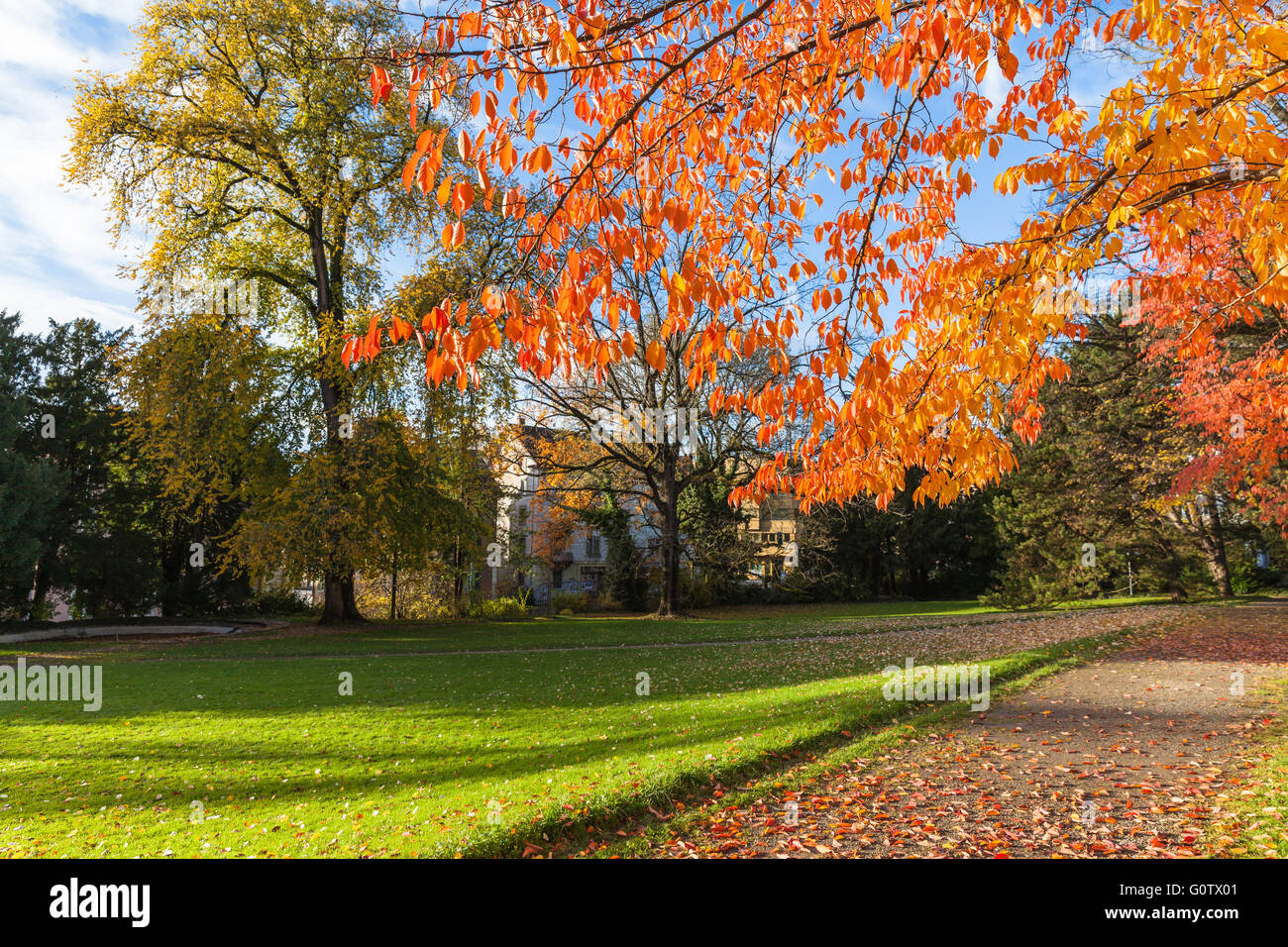 In einem ruhigen Park in Zürich an einem sonnigen Sonntag Afternoos der ist im späten Herbst, der Winter kommt bald... Stockfoto