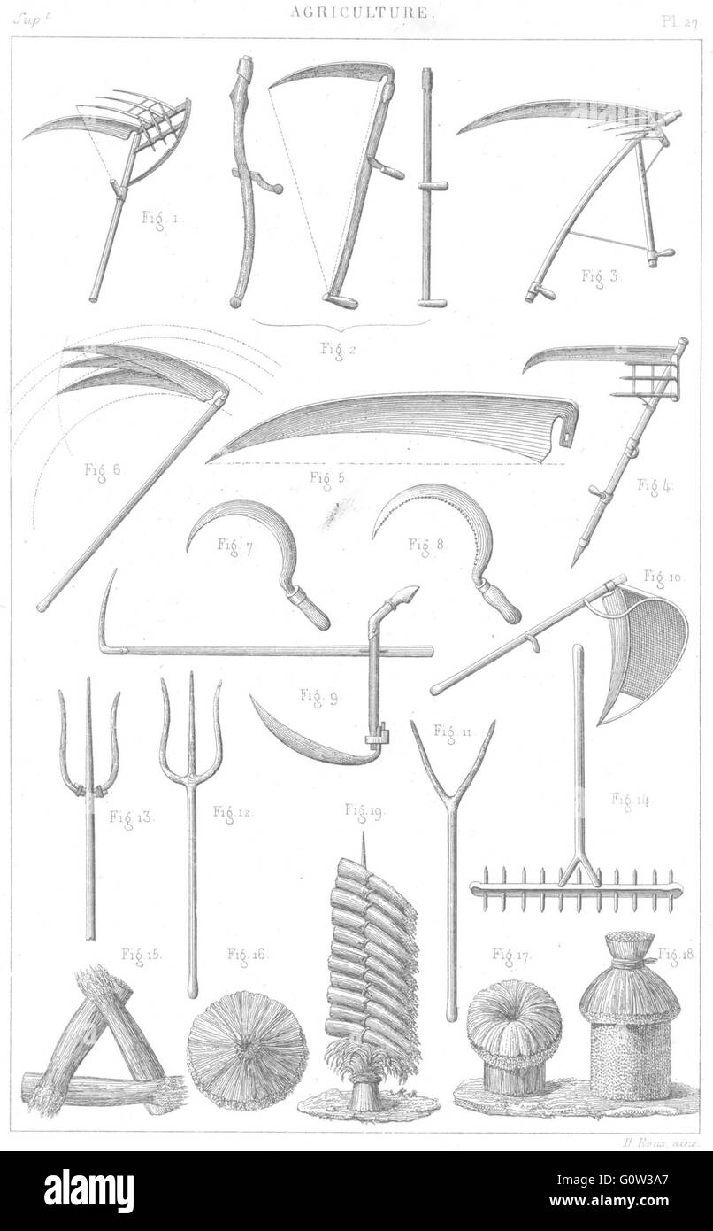 Landwirtschaft: Landwirtschaft: Fauchage, antike print 1875 Stockfoto