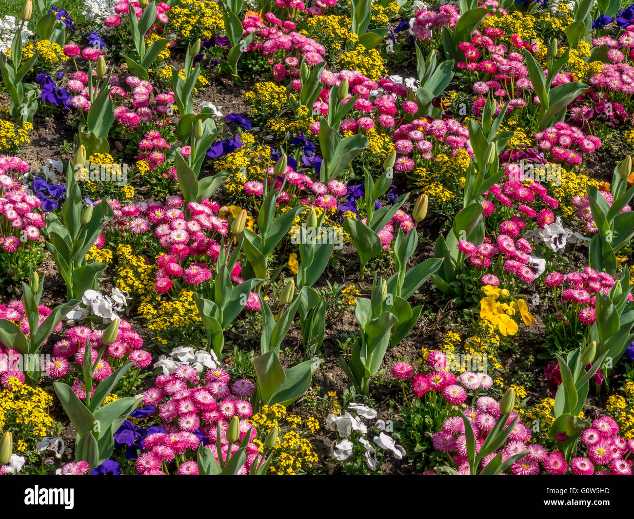 Schloss Dachau Stockfotos und bilder Kaufen Alamy
