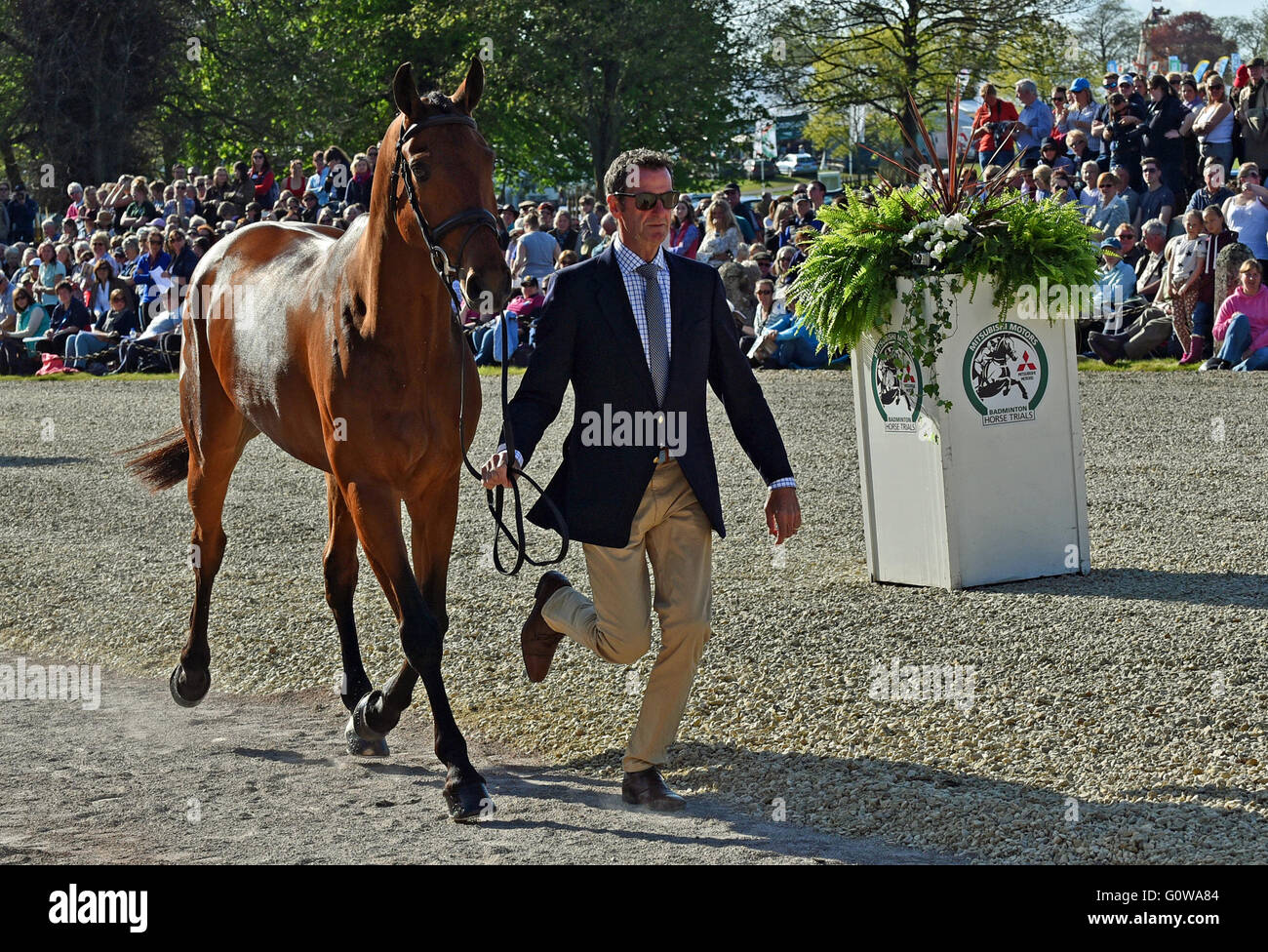 Badminton, UK. 4. Mai 2016.   Bild: Badminton Gloucestershire U.K.Mitsubishi Motoren Badminton Horse Trials: Mark Todd aus Neuseeland mit Leonidas II am Pferd Erstinspektion. Mitsubishi feiert 25years Partnerschaft mit Badminton.    Bildnachweis: Charlie Bryan/Alamy Live News Stockfoto