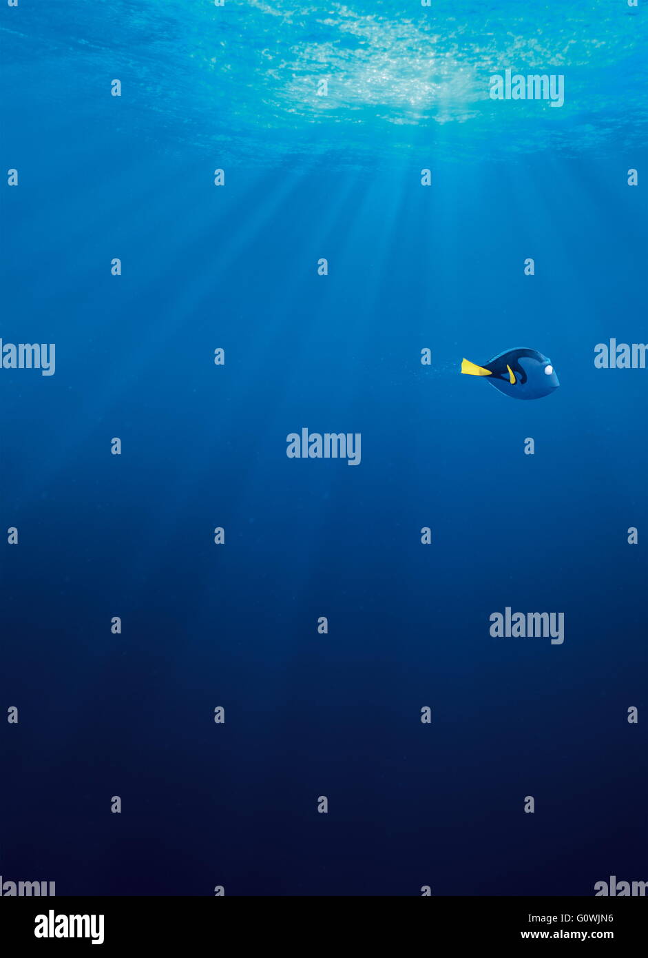 Veröffentlichungsdatum: 17. Juni 2016 Titel: Suche nach Dory STUDIO: Pixar Animation DIRECTOR: Andrew Stanton, Angus MacLane Grundstück: freundlich aber vergesslich blue Tang Fisch vereint mit ihren lieben und jeder lernt ein paar Dinge über die wahre Bedeutung der Familie auf dem Weg Bild: Ellen DeGeneres als Dory (Stimme) (Credit: C Pixar/Unterhaltung Bilder /) Stockfoto