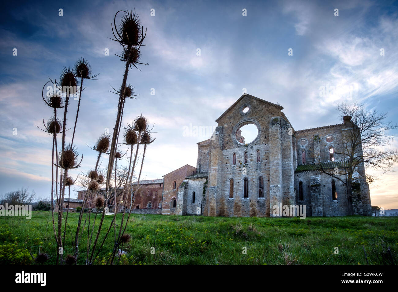 Stil der gotischen Zisterzienser Abtei von Provinz von Siena in der Nähe von Chiusdino in der Toskana, Italien Stockfoto