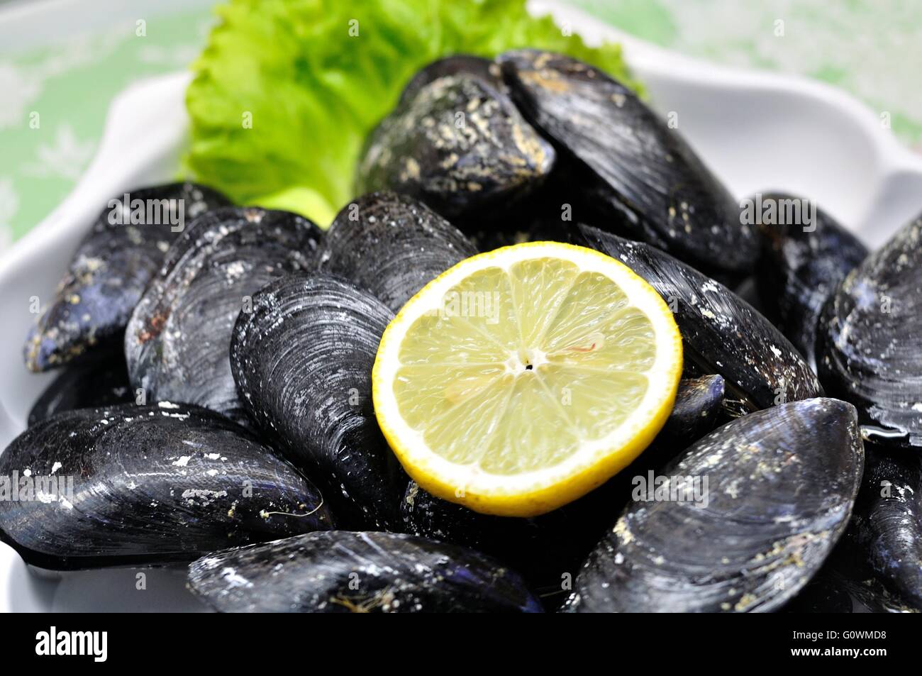 Dekorative Teller mit leckeren Muscheln mit Zitrone Stockfoto