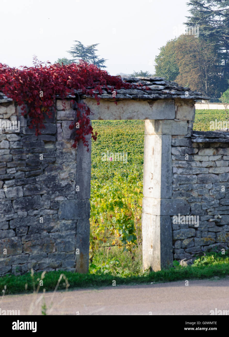 Portal der Weinberg in Burgund in der Nähe von Beaune, Cote d ' or, Frankreich, Europa Stockfoto