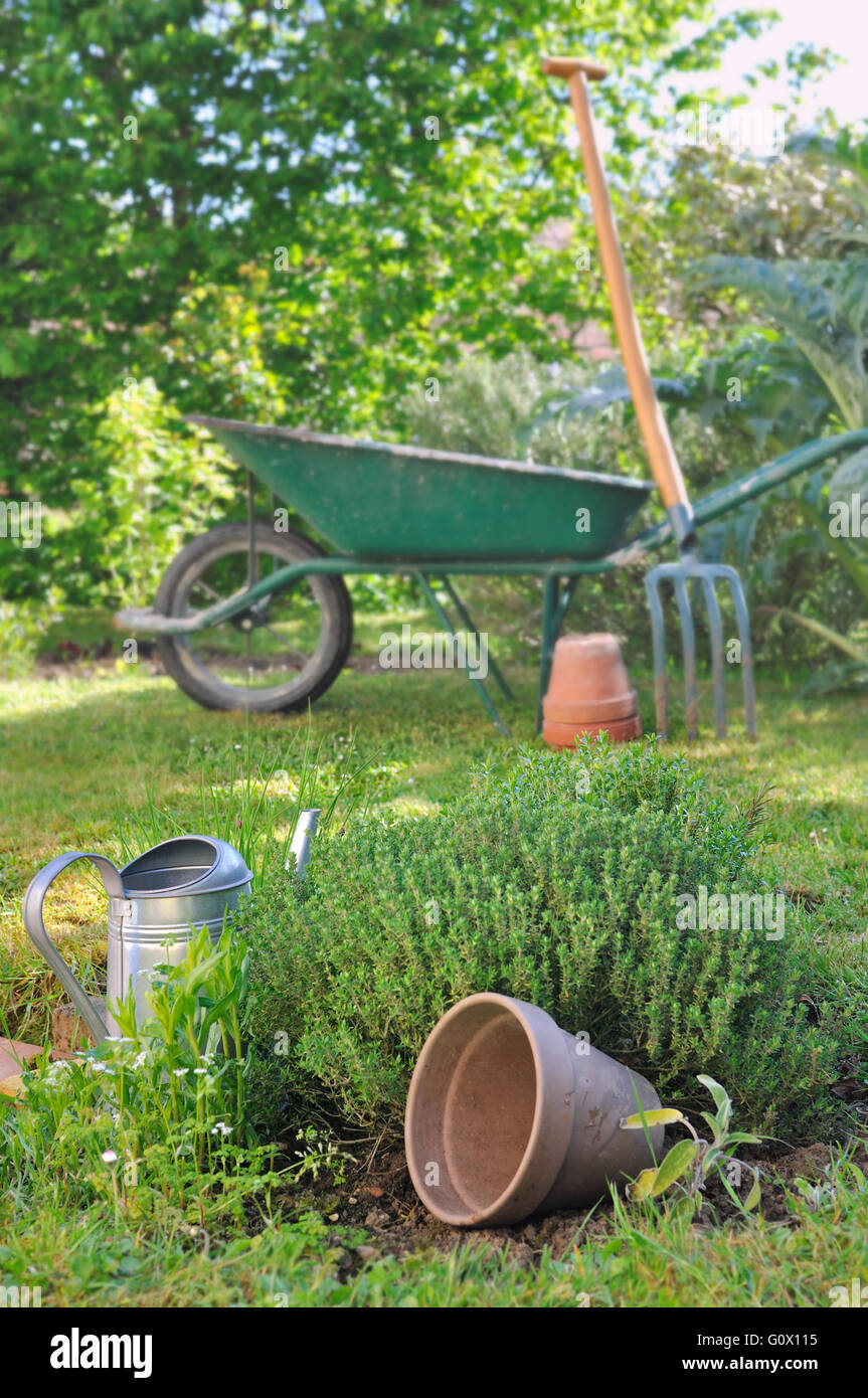 Töpfe und Gartengeräte im Garten mit Thymian Stockfoto