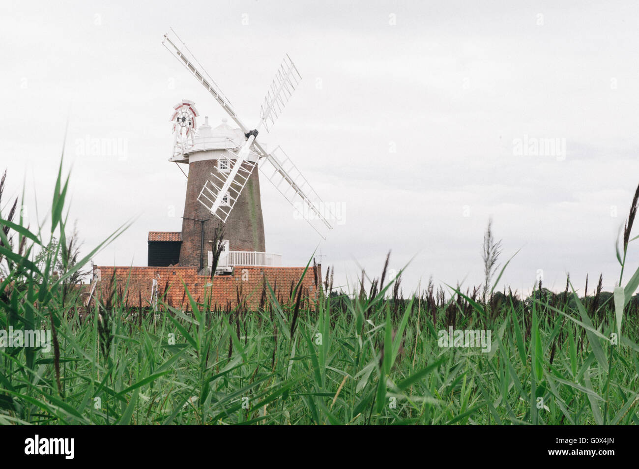 Die Windmühle B & B bei Cley-Next-the-Sea steht groß in einer Salz-Sumpf-Landschaft von der Küste von Norfolk Stockfoto