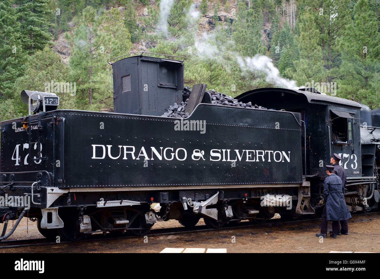 Dampfzug auf Durango Silverton Narrow Gauge Museumsbahn, Colorado, USA vor dem Hintergrund der Pinien und Berg Stockfoto