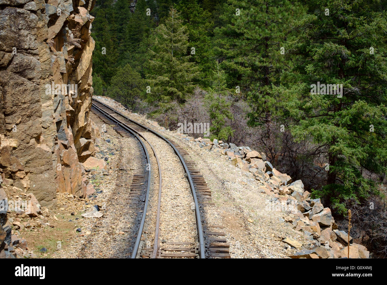 Blick auf Gleis Durango Silverton Narrow Gauge Steam Railway, Colorado, USA Stockfoto