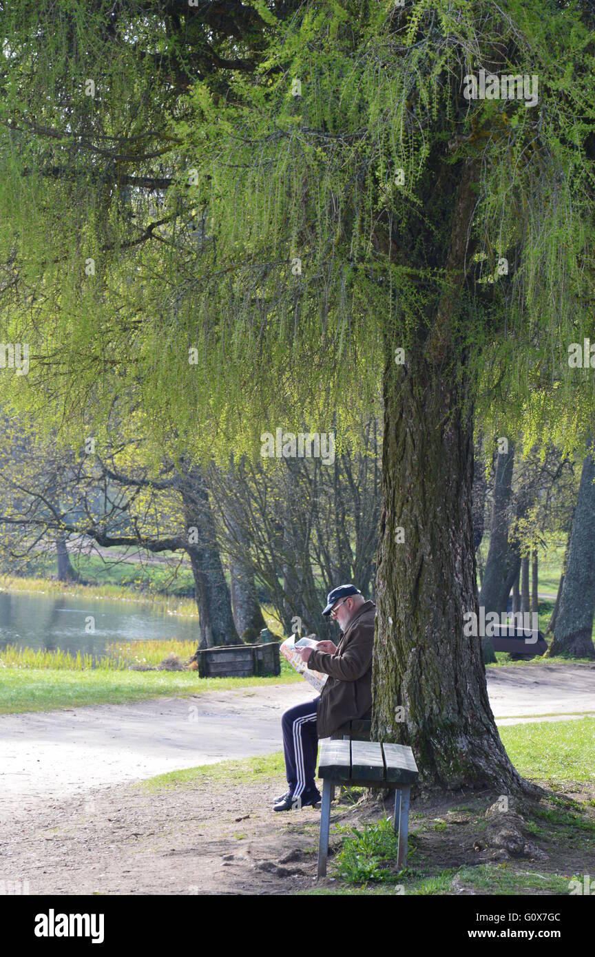 Alter Mann lesen Zeitung Stockfoto