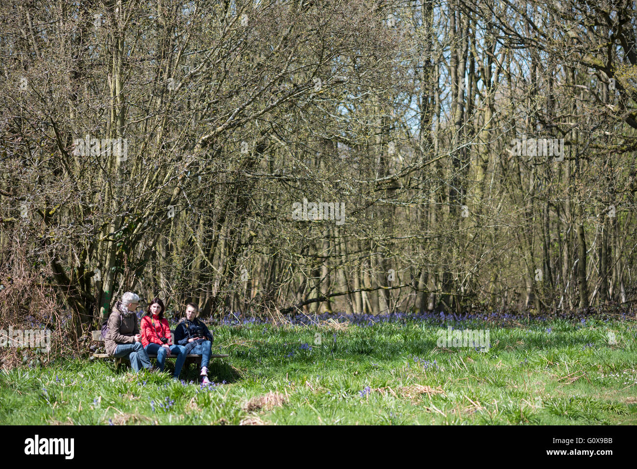 Drei Leute sitzen auf einer Bank mit Glockenblumen hinter ihnen am Everdon Stubbs, Northmaptonshire Stockfoto