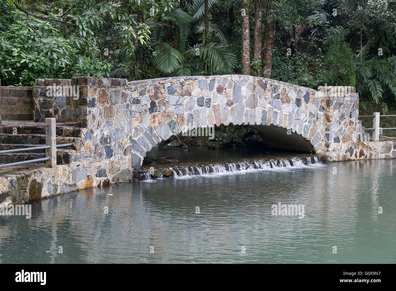 Brücke in El Yunque National Forest Park, Puerto Rico Stockfoto