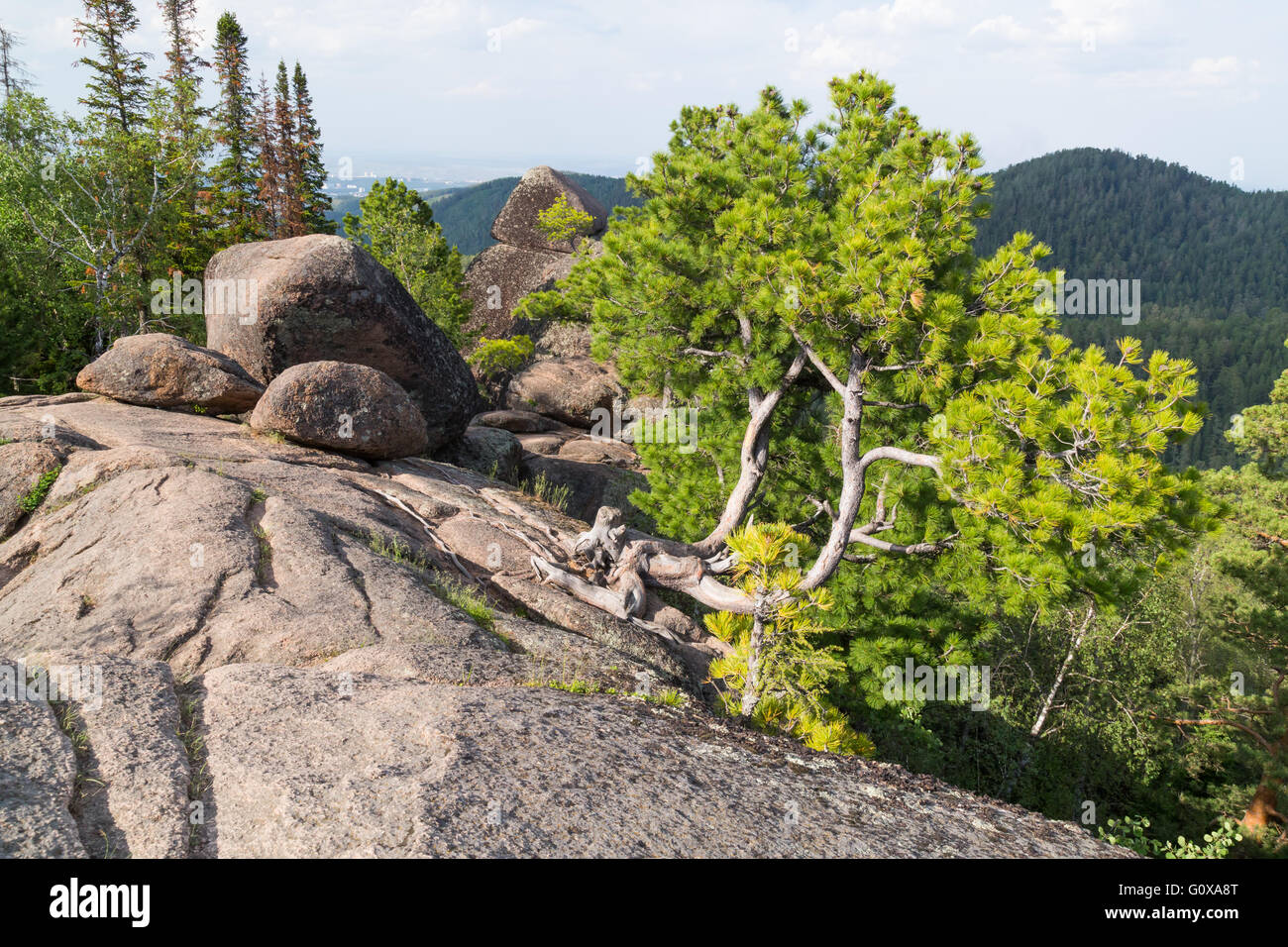 Landscape Park Stolby, in der Nähe von Krasnojarsk, Russland Stockfoto