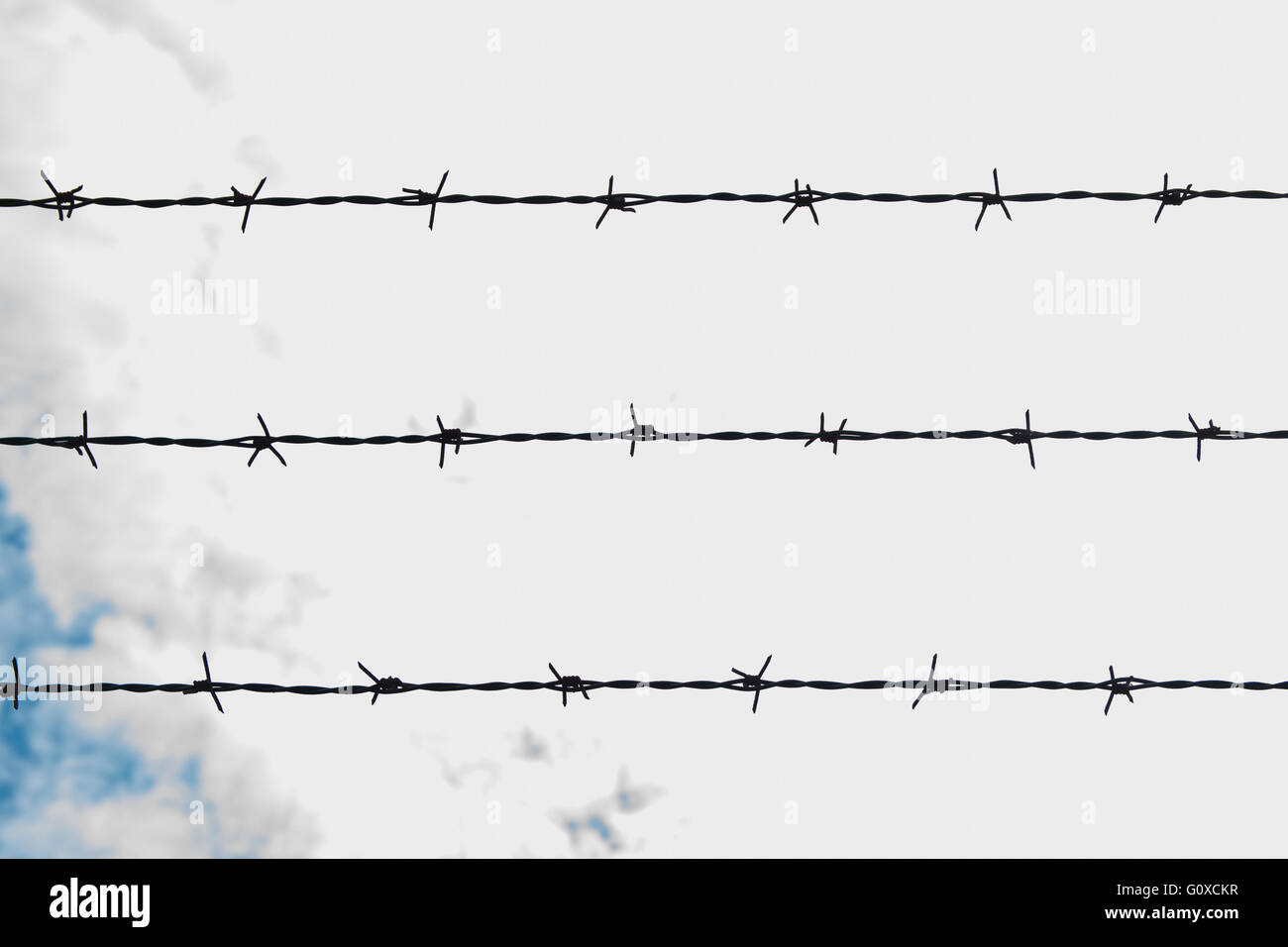 Stacheldraht bei Gegenlicht in parallelen Reihen angeordnet. Stockfoto