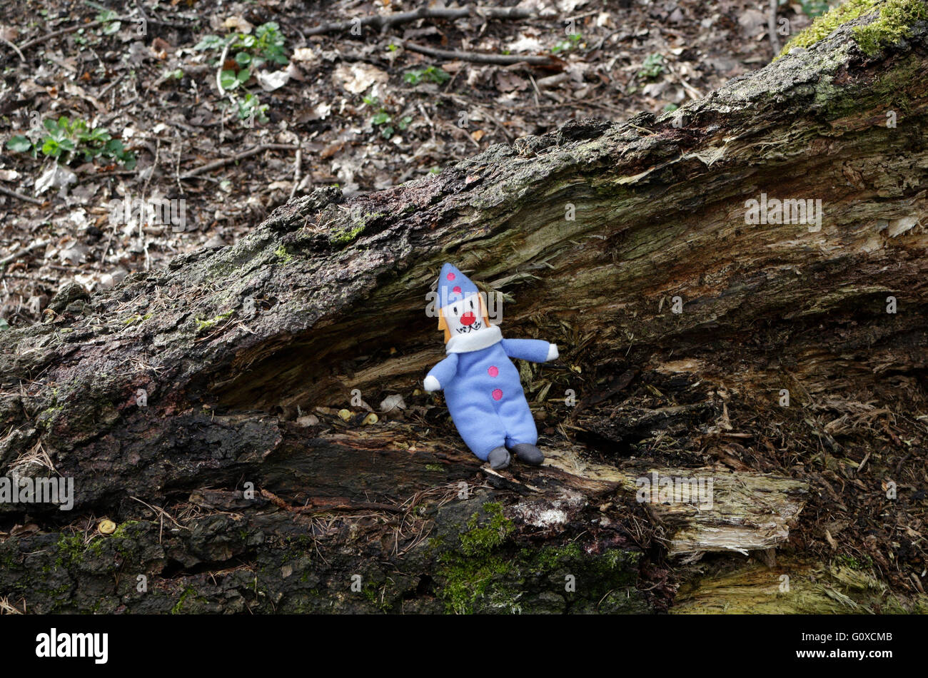 Kinder-Kuschelspielzeug verloren im Wald Stockfoto