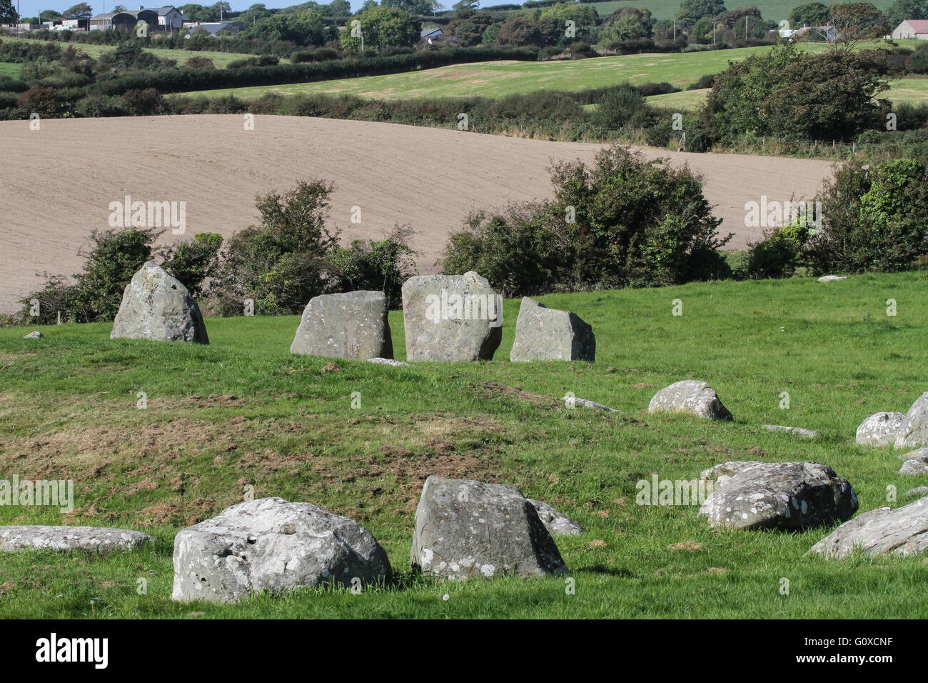 Ballynoe Stone Circle in der Nähe von Downpatrick im County Down. Stockfoto