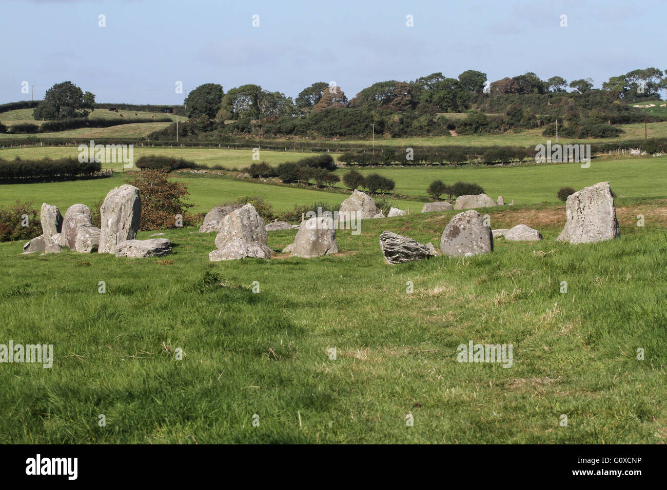 Ballynoe Stone Circle in der Nähe von Downpatrick im County Down. Stockfoto