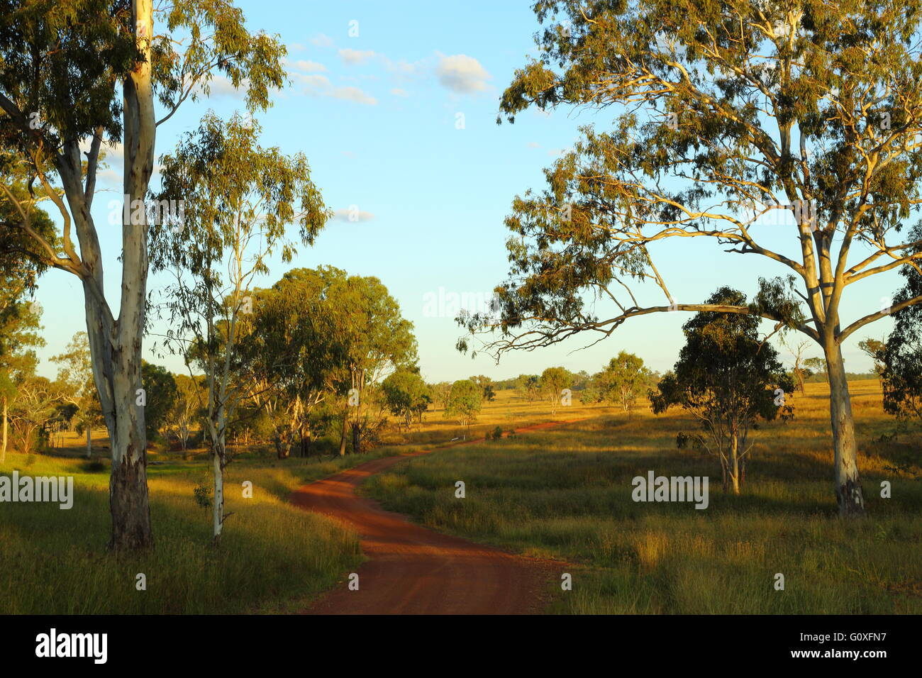 Morgendämmerung über Gumtrees und Glencoe Road bei 'Glencoe' in der Nähe von Eidsvold, in der Region North Burnett, Queensland, Australien. Stockfoto
