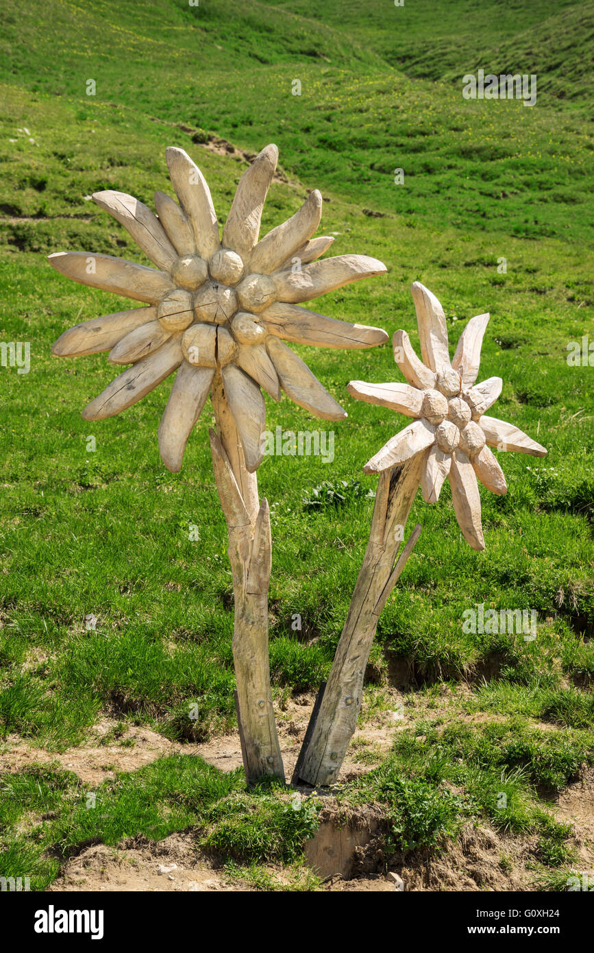Edelweiss-Skulptur aus Holz Stockfoto