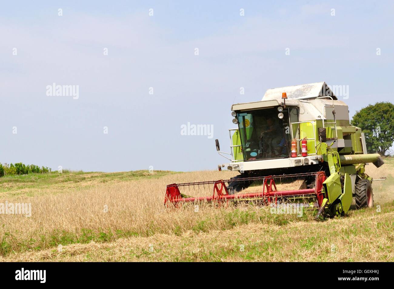 Moderne Mähdrescher im Feld während der Ernte mit Platz auf der linken Seite. Agrar- und Landwirtschaft Sammlung Stockfoto
