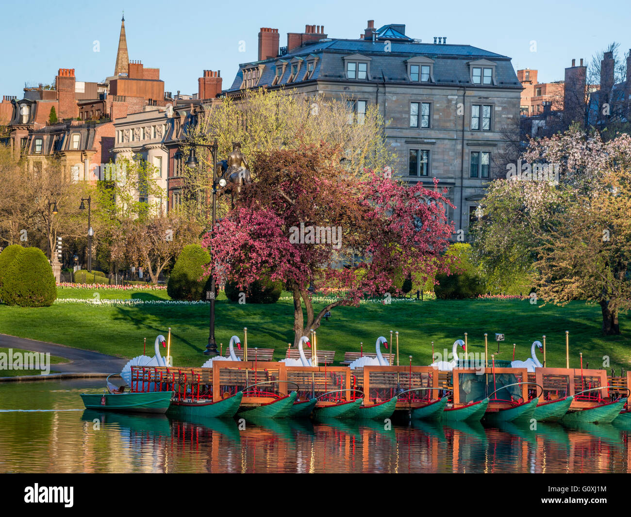 Im Boston Public Garden in Boston, Massachusetts, erblühen im Frühling Bäume mit Schwanenbooten im Vordergrund. Stockfoto