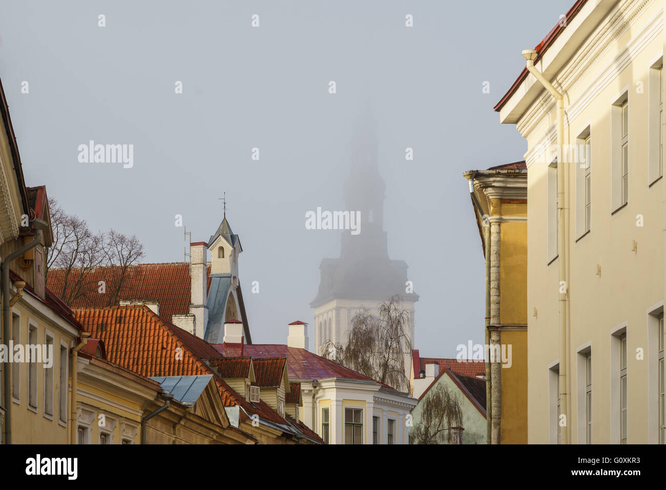 Dächer der Altstadt und St. Nicholas Church oder Niguliste gefaltet im Morgennebel, Tallinn, Estland Stockfoto