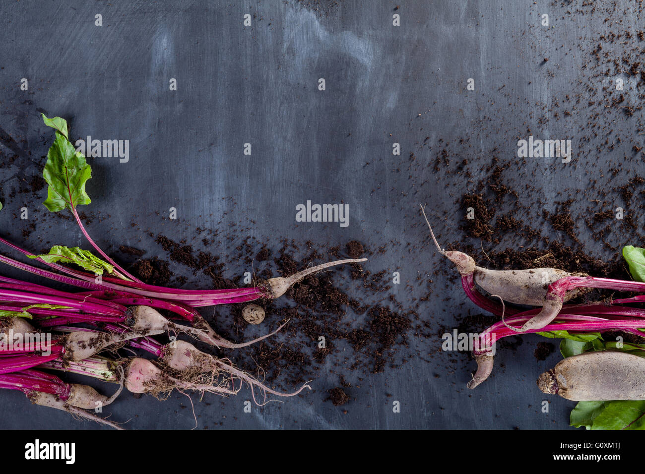 Rübenblätter und rote Beete am schwarzen Brett mit Boden-Draufsicht Stockfoto