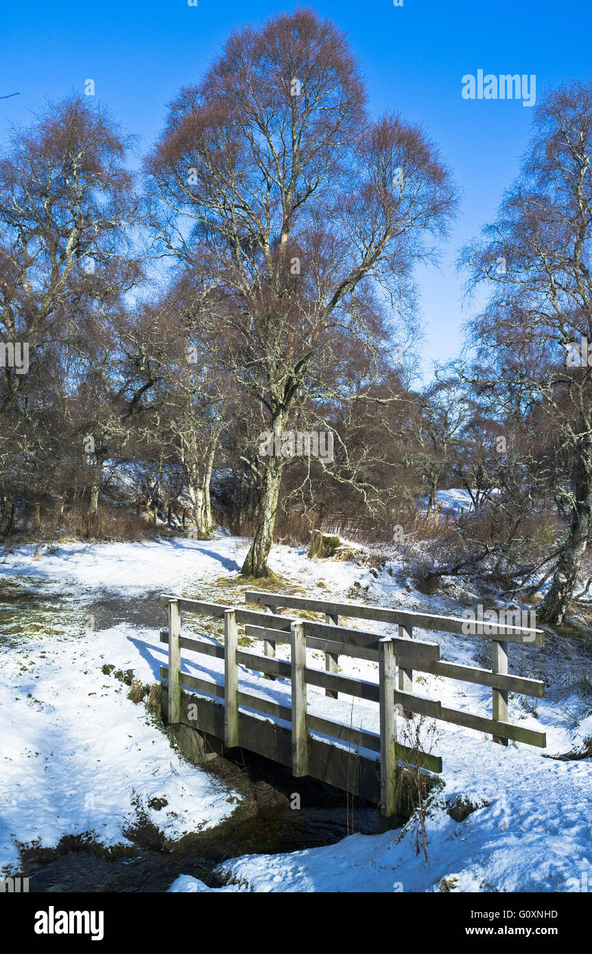 dh AVIEMORE INVERNESSSHIRE Speyside Weg Schnee Wald Fußgängerbrücke Fluss Bach Wandern Schottland highlands Stockfoto
