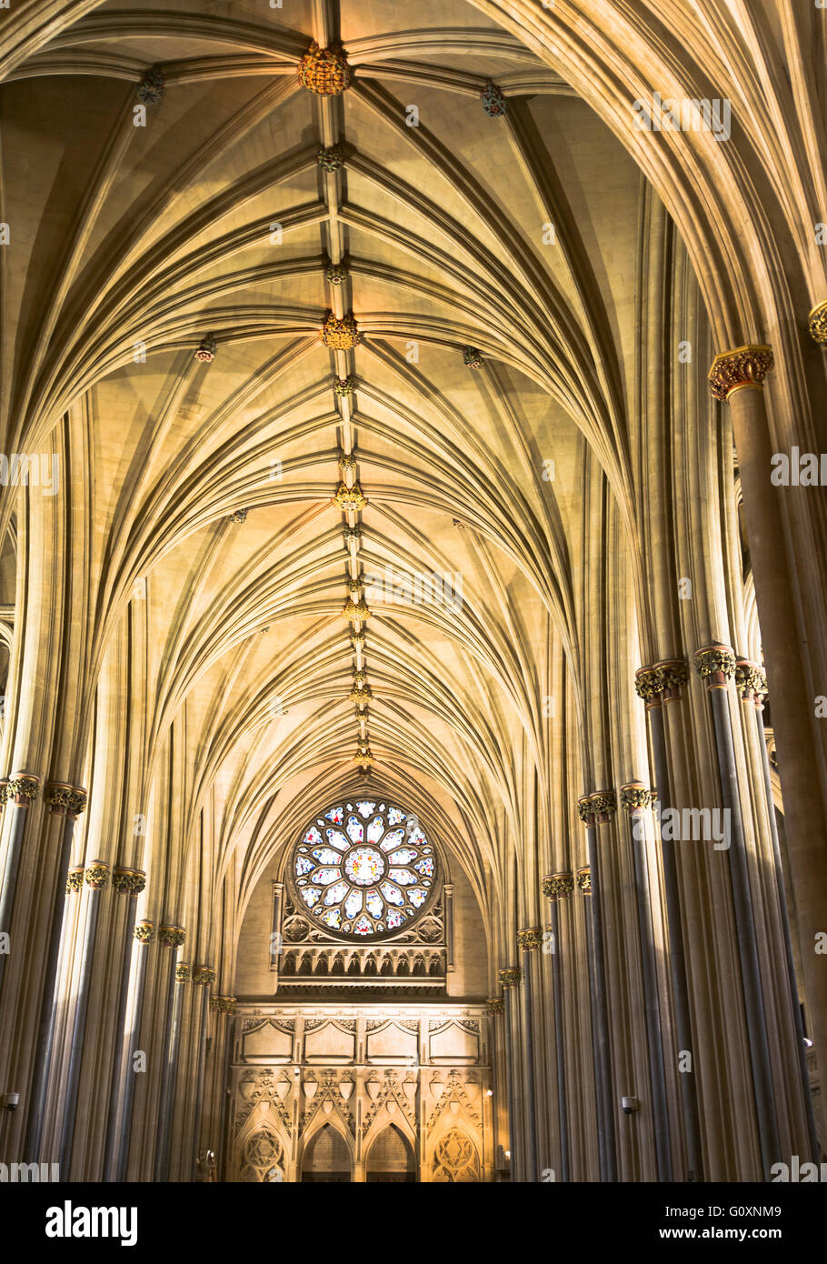 Dh Die Kathedrale Von Bristol Englisch Mittelalterliche Kathedrale Decke Innen Innerhalb De Stockfotografie Alamy