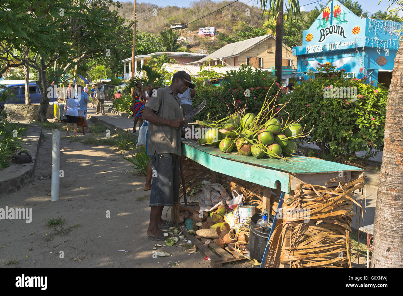 dh Bequia Insel St. VINCENT Karibik lokale Mann karibischen Kokos Verkäufer trimmen Kokosnüsse zum trinken Stockfoto