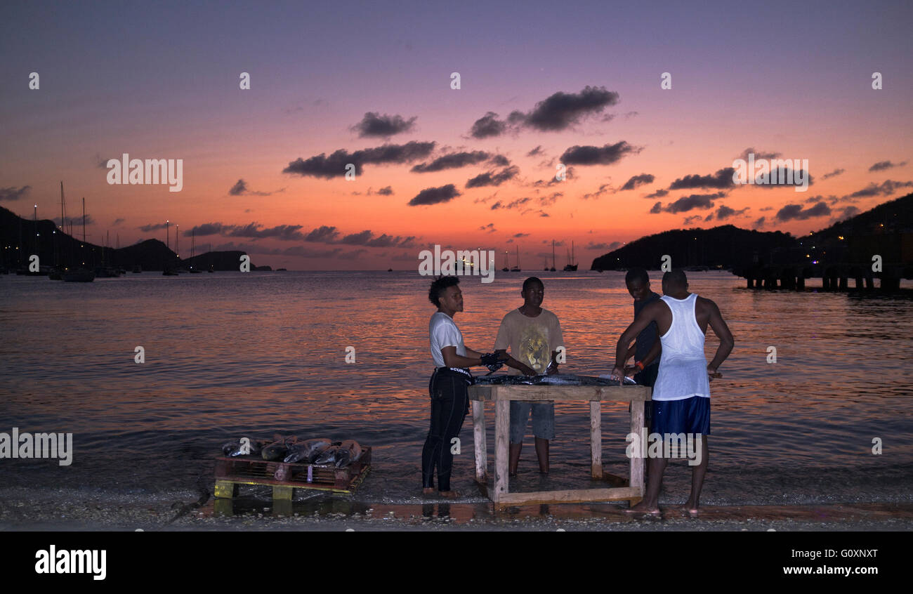 Dh Bequia island St. Vincent KARIBIK Fischer ausnehmen schneiden Tage Fang Sonnenuntergang Admiralty Bay Beach landing Fisch Stockfoto