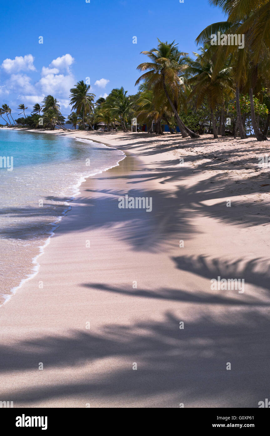 dh Mayreau Insel St. VINCENT CARIBBEAN Saltwhistle Bay Strand Palmen Saint Vincent und die Grenadinen Stockfoto