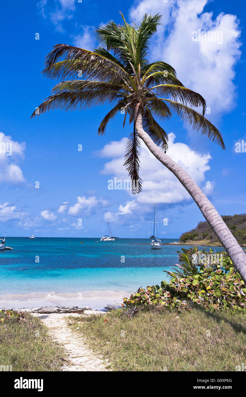 dh Mayreau Island ST VINCENT KARIBIK Saltwhistle Bay Strandyachten Palmen St. Vincent und Grenadinen malerische Inseln Stockfoto