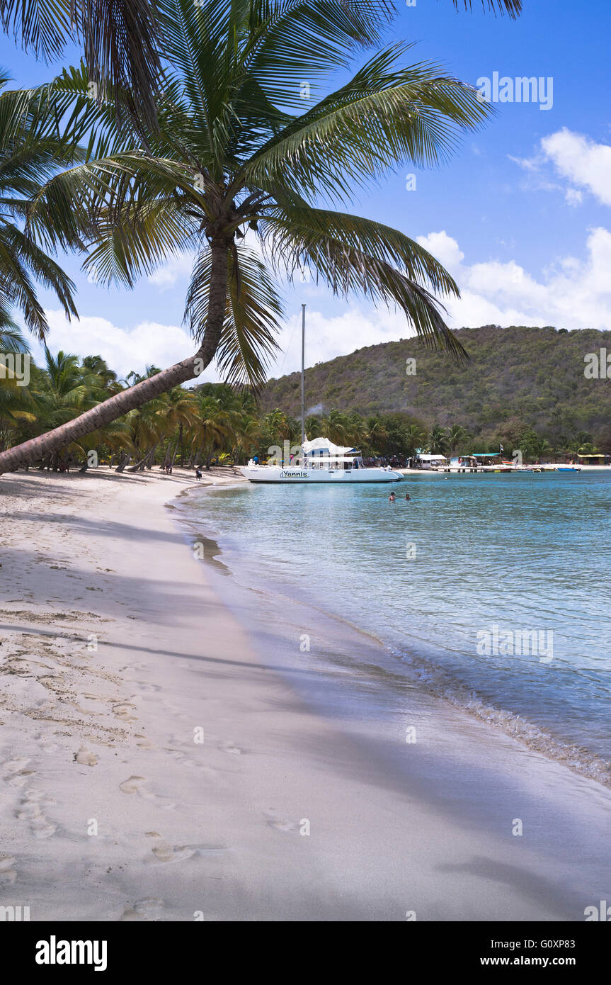dh Mayreau Insel St. VINCENT Karibik touristischen Familie Saltwhistle Bay Strand Palme Saint Vincent und die Grenadinen Stockfoto